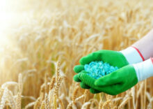 Ukraine resumes the export of rye and mineral fertilizers.