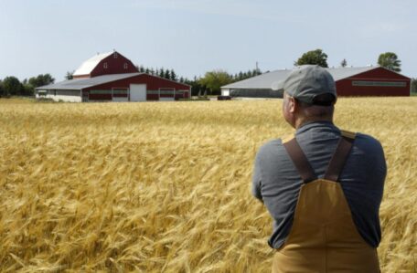 Les évaluations des terres agricoles peuvent être obtenues en ligne.