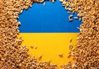 Before the grain corridor opened, Ukraine exported 2.7 million tons of grain.
