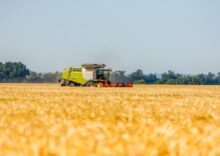 Росія продовжує красти мільйони тонн зерна.