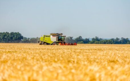 Россия продолжает воровать миллионы тонн зерна.