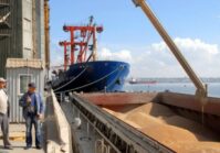 Les céréales volées à l'Ukraine sont transportées par 87 navires.