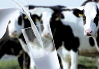 Українські виробники молока отримають UAH 100 млн від Швейцарії.
