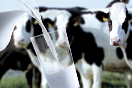 Ukrainian milk producers will receive UAH 100M from Switzerland.
