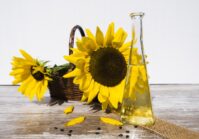 A pipeline for vegetable oils will appear between Ukraine and Poland.
