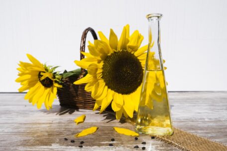 A pipeline for vegetable oils will appear between Ukraine and Poland.