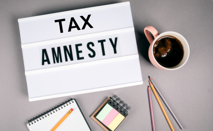 The Ukrainian Parliament plans to extend the tax amnesty until March 2023.