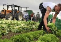 L'UE a lancé des programmes de soutien aux petits producteurs agricoles en Ukraine.
