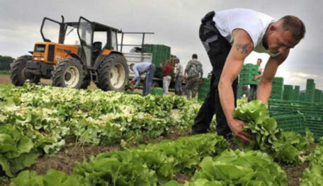La UE ha puesto en marcha programas de apoyo a los pequeños productores agrícolas de Ucrania.