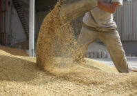 Из-за войны и засухи мировые запасы зерна сократятся до 10-летнего минимума.