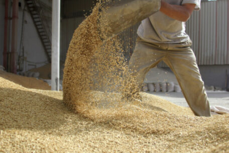 Due to war and drought, world grain reserves will be reduced to a 10-year low.