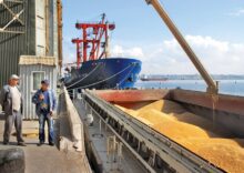 Через війну обсяг експорту зерна з України скоротився вдвічі.