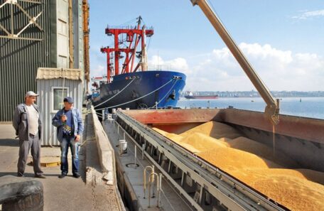 El volumen de las exportaciones de cereales de Ucrania se ha reducido a la mitad debido a la guerra.