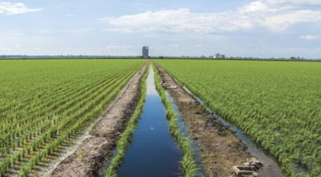 Ukraine needs $15B to restore irrigation.