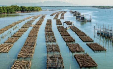 L’Ukraine louera un territoire maritime. 