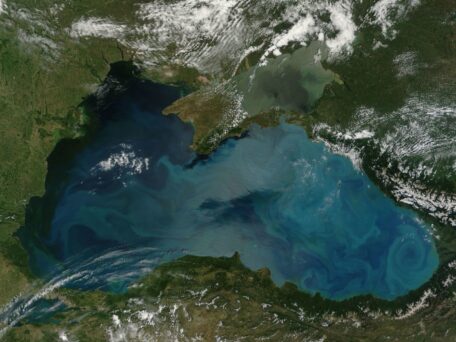 Агресія РФ ставить під загрозу знищення екосистему Чорного моря.