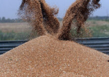 Ініціатива “Зерно з України” вже налічує понад 30 країн-учасниць.
