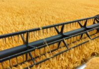 У Харківській області зібрано врожай з 80% сільськогосподарських полів.