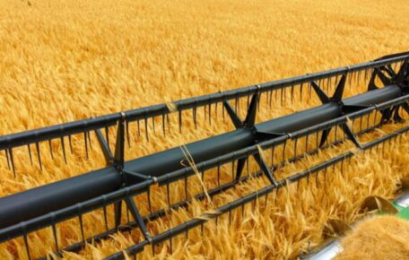 La región de Kharkiv ha cosechado cultivos del 80% de sus campos agrícolas.