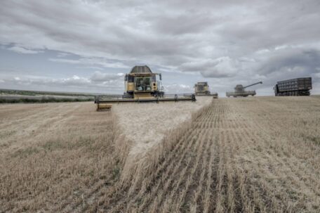 Los agricultores ucranianos recibirán UAH 917 millones en apoyo de la UE.