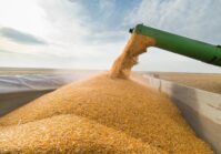 ЄБРР інвестує €300 млн в маршрути для експорту українського зерна.