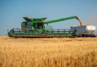 FAO obniża prognozę zbiorów zbóż na świecie o 4,9 mln ton.
