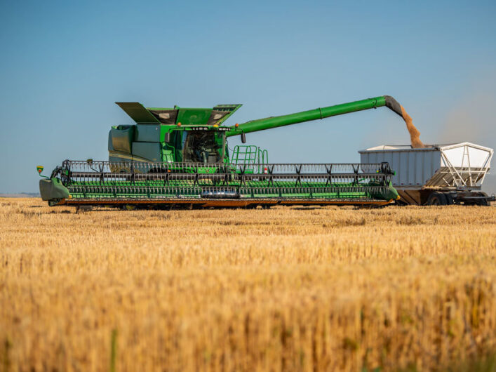 The FAO reduces the world grain harvest forecast by 4.9 million tons.