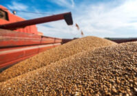 La retirada de Rusia del acuerdo de cereales ha provocado una subida de los precios del trigo.