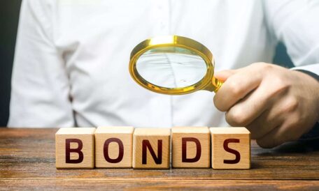 Narodowy Bank kupił obligacje rządowe za całą uzgodnioną na ten rok kwotę.