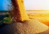 Los ocupantes rusos han robado más de mil millones de dólares en cereales.