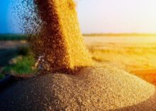 Російські окупанти вкрали зерна на суму понад $1 млрд.