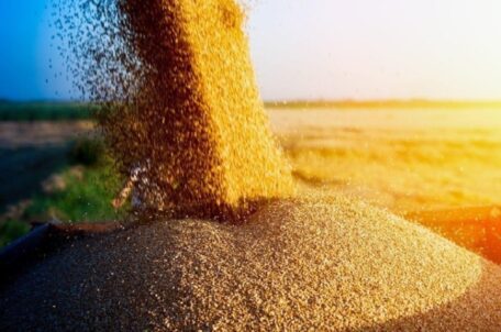Russian occupiers have stolen more than $1B worth of grain.