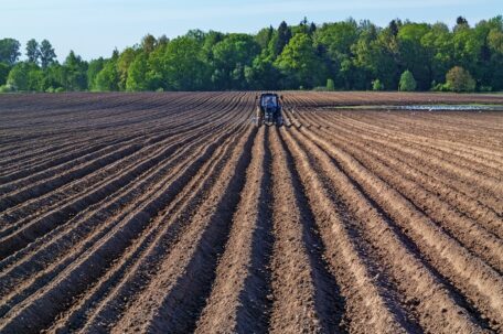 The structure of planting crops will change in Ukraine.