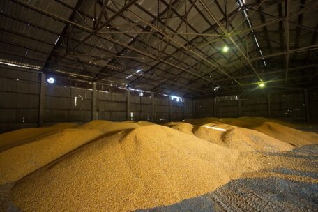 W 2022 roku ukraiński sektor rolny może stracić 9,3 – 9,8 mld USD z powodu problemów logistycznych,
