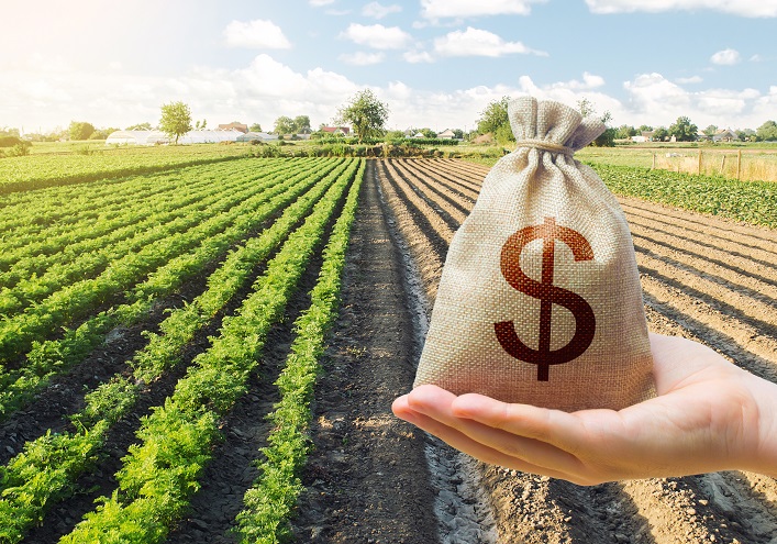 Ukreximbank and the EBRD will launch a new lending program for farmers.