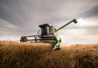 Україна зайняла дев'яту позицію серед найбільших виробників пшениці у світі.
