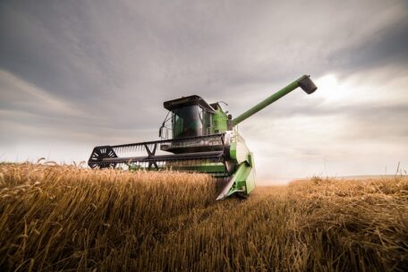 Україна зайняла дев’яту позицію серед найбільших виробників пшениці у світі.