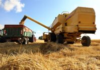 Міністерство сільського господарства США прогнозує збільшення врожаю пшениці в Україні на 2,4%.