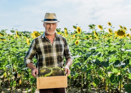 Цього року валовий врожай в Україні скоротиться на 10-15%.