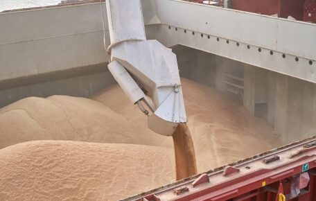 En la nueva temporada, Ucrania exportó alrededor de 32 millones de toneladas de cereales y aumentó la exportación de harina.