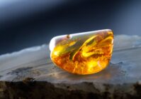 The Ukrainian state will hold the first amber auctions later this month.