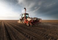 The sowing campaign in Ukraine is ending with 103% of planned farmland planted.