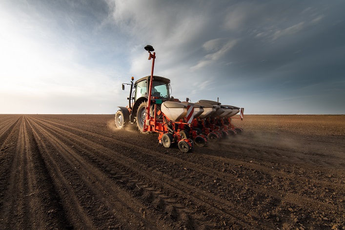 La campaña de siembra en Ucrania está finalizando con el 103% de las tierras agrícolas planificadas plantadas.