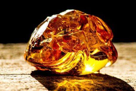 Les premières ventes aux enchères d’ambre ont amené 1 million d’UAH à l’État sur la plate-forme Prozorro.