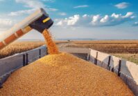 Ukraine increased grain exports during the year, and several countries increase their imports.