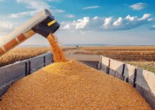 Ukraine is considering a new grain export route through the territorial waters of NATO member countries.