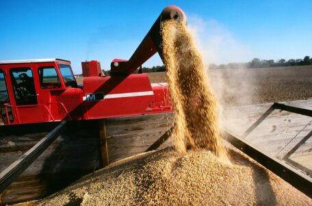 L’Ukraine continue de développer le programme Grain from Ukraine – l’Espagne et la France ont fourni 20,4 millions d’euros supplémentaires. 