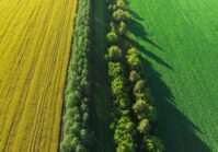 Попри війну, ринок сільськогосподарських земель в Україні залишається активним.