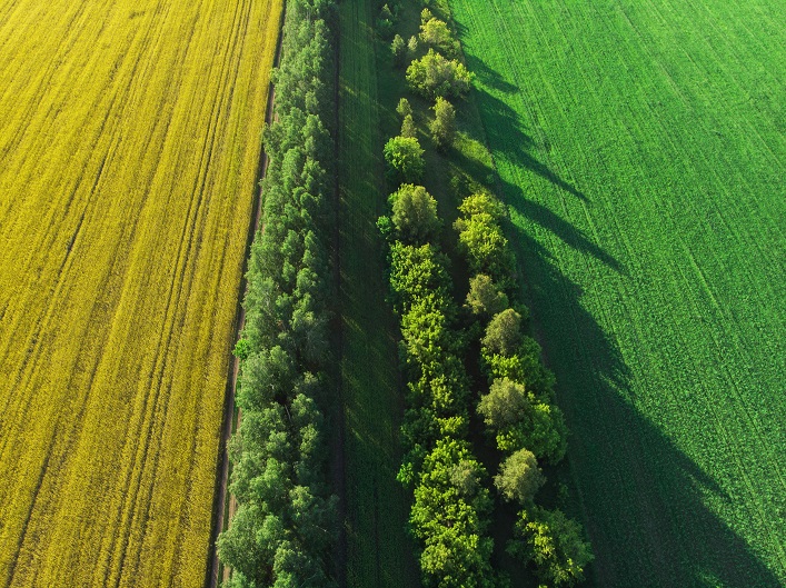 Despite the war, the agricultural land market in Ukraine remains active.