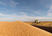 РФ вкрала 6 млн тонн української пшениці: світові ціни зростають, а запаси скорочуються.